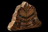Tall, Arizona Petrified Wood Bookends - Red & Black #172013-2
